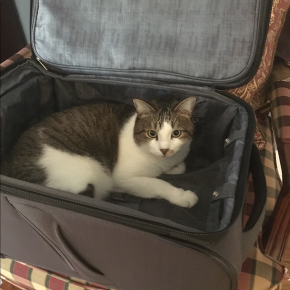 Meet your Posher, Sandra - Picture 4 of 4